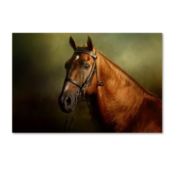 Jai Johnson 'Standing Strong' Canvas Art, 30x47, Trademark Fine Art, Mfr#: ALI14628-C3047GG
